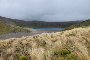 DSC_0842